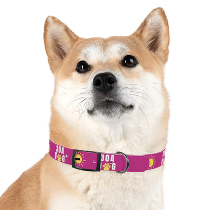 30A Dog Paw Collar Pink