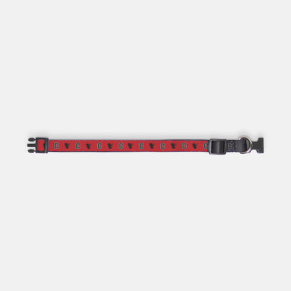Carolina Gamecocks Pet Collar