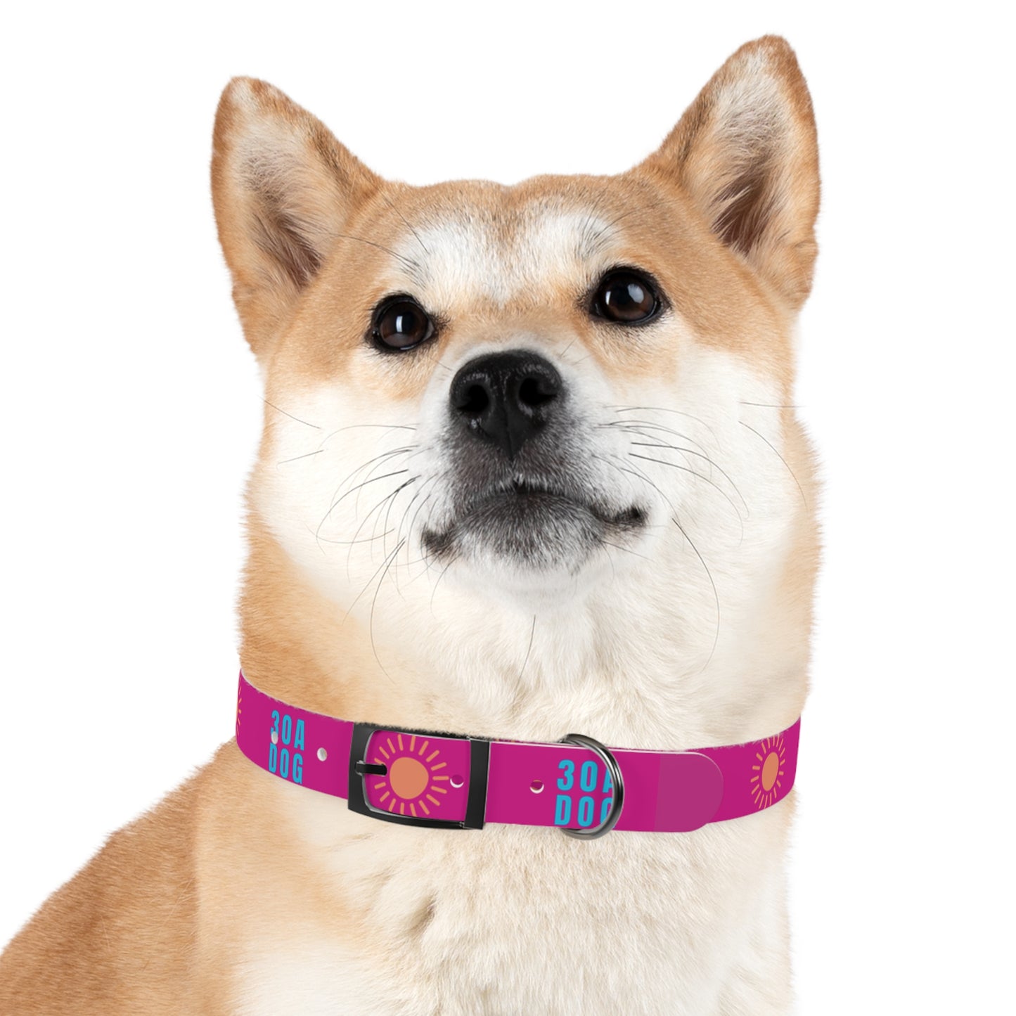 30A Dog Collar Pink