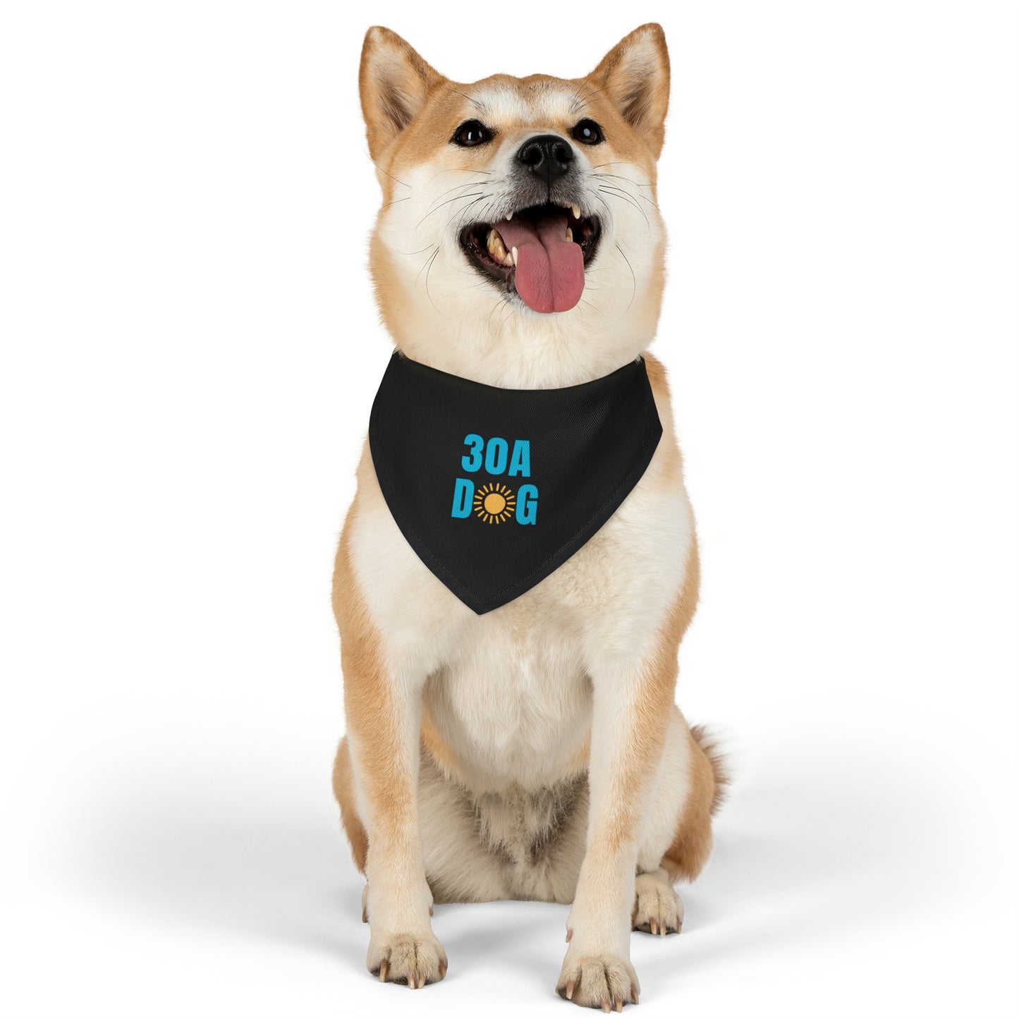 30A Pet Bandana Collar Black