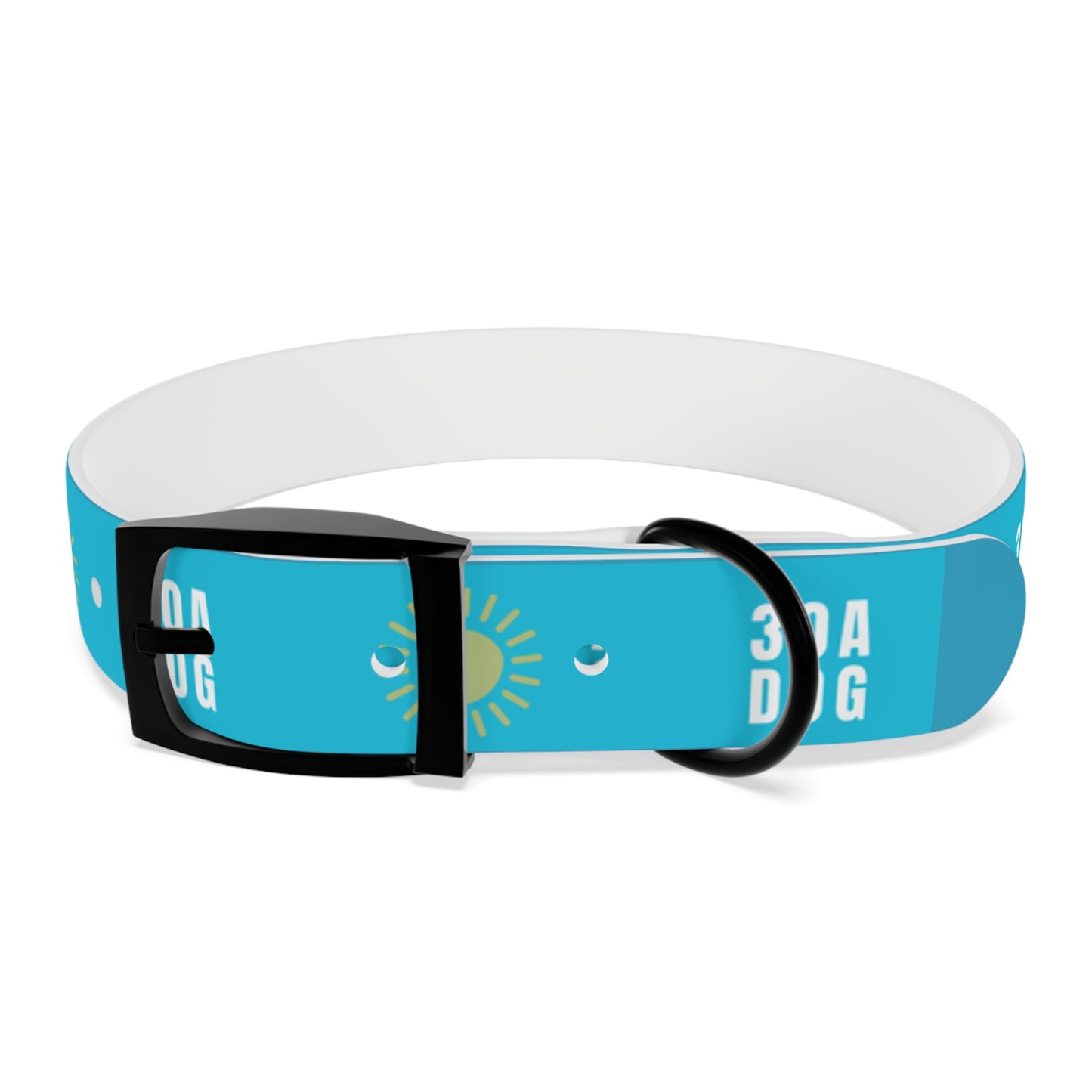 30A Dog Collar Turquoise
