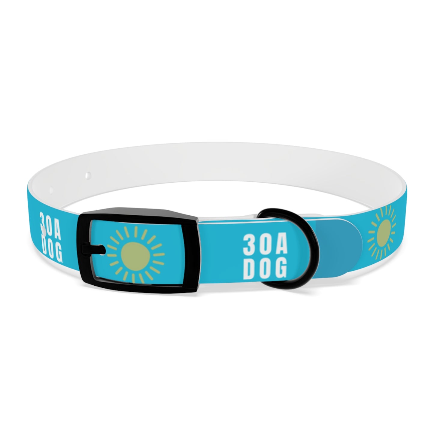 30A Dog Collar Turquoise