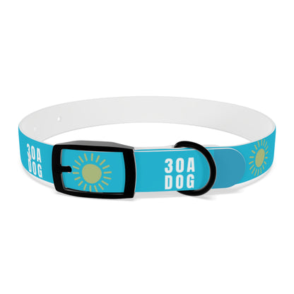 30A Dog Collar Turquoise