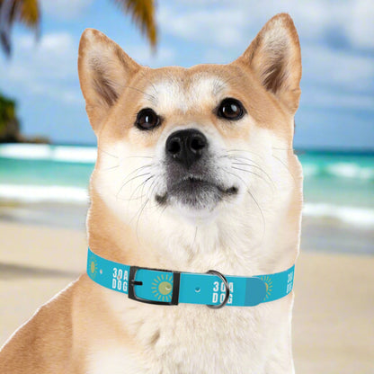 30A Dog Collar Turquoise