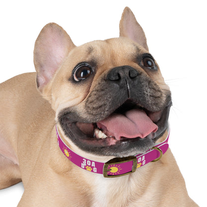 30A Dog Paw Collar Pink