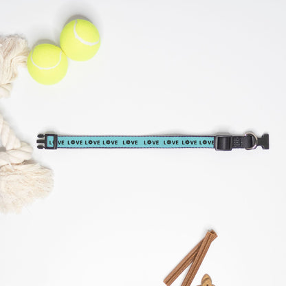 Love Pet Collar Large (Turquoise/Black)