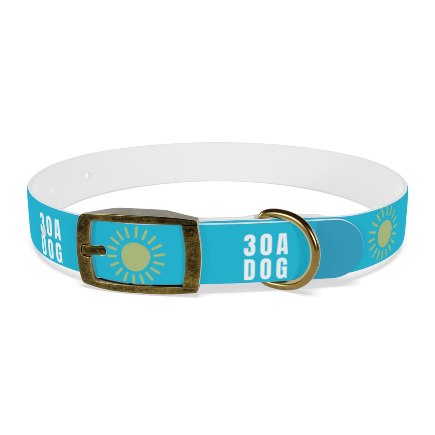 30A Dog Collar Turquoise