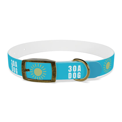 30A Dog Collar Turquoise