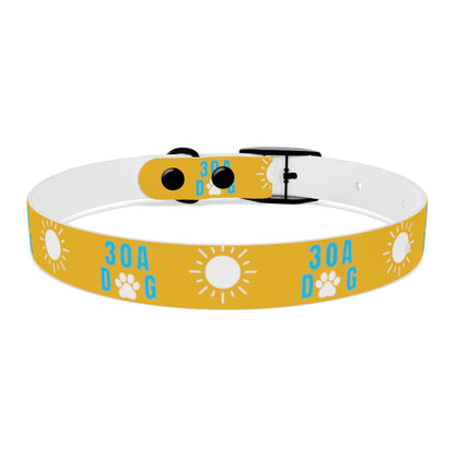 30A Dog Collar Yellow