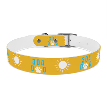 30A Dog Collar Yellow