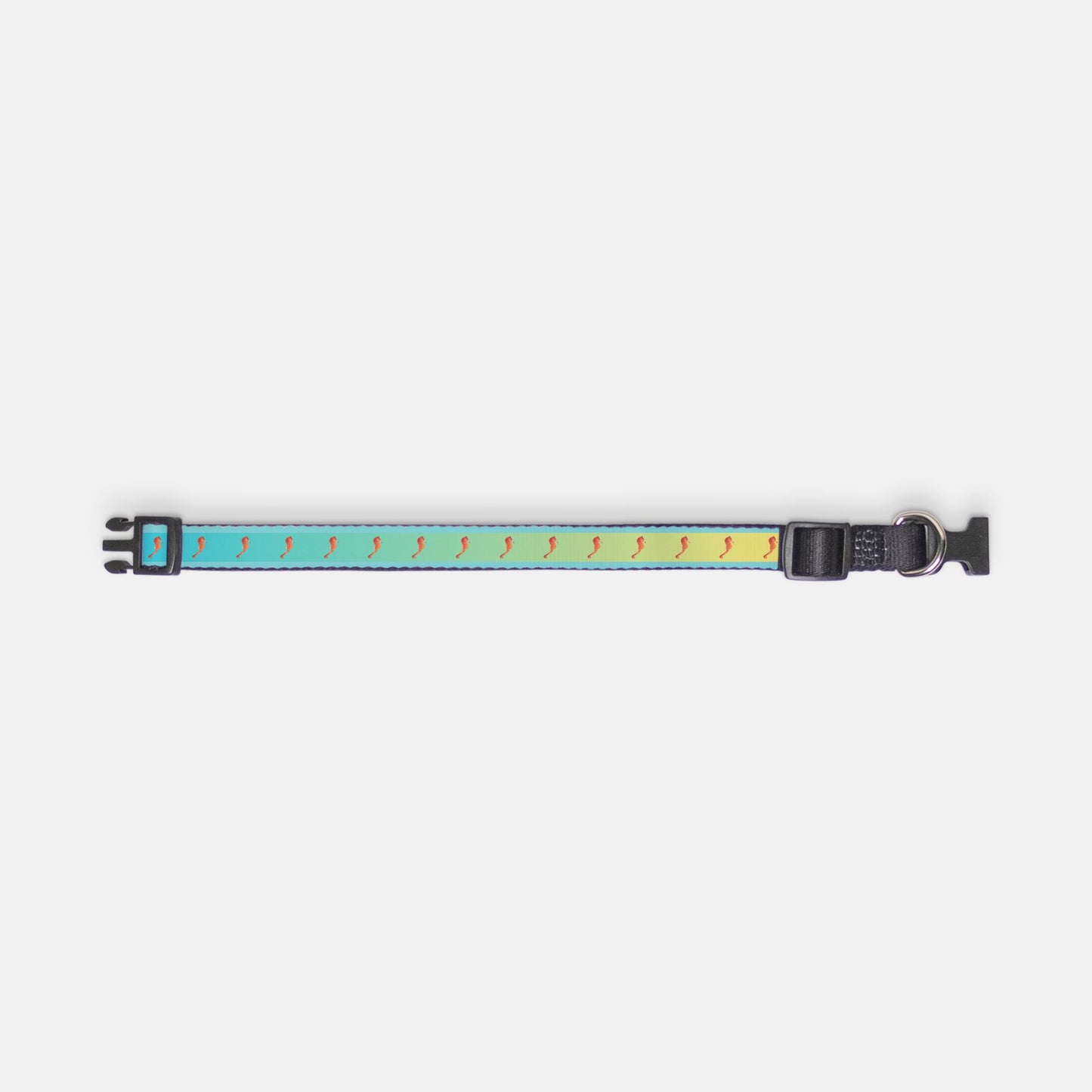 Sea Horse Ombre Pet Collar
