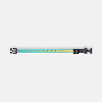 Sea Horse Ombre Pet Collar