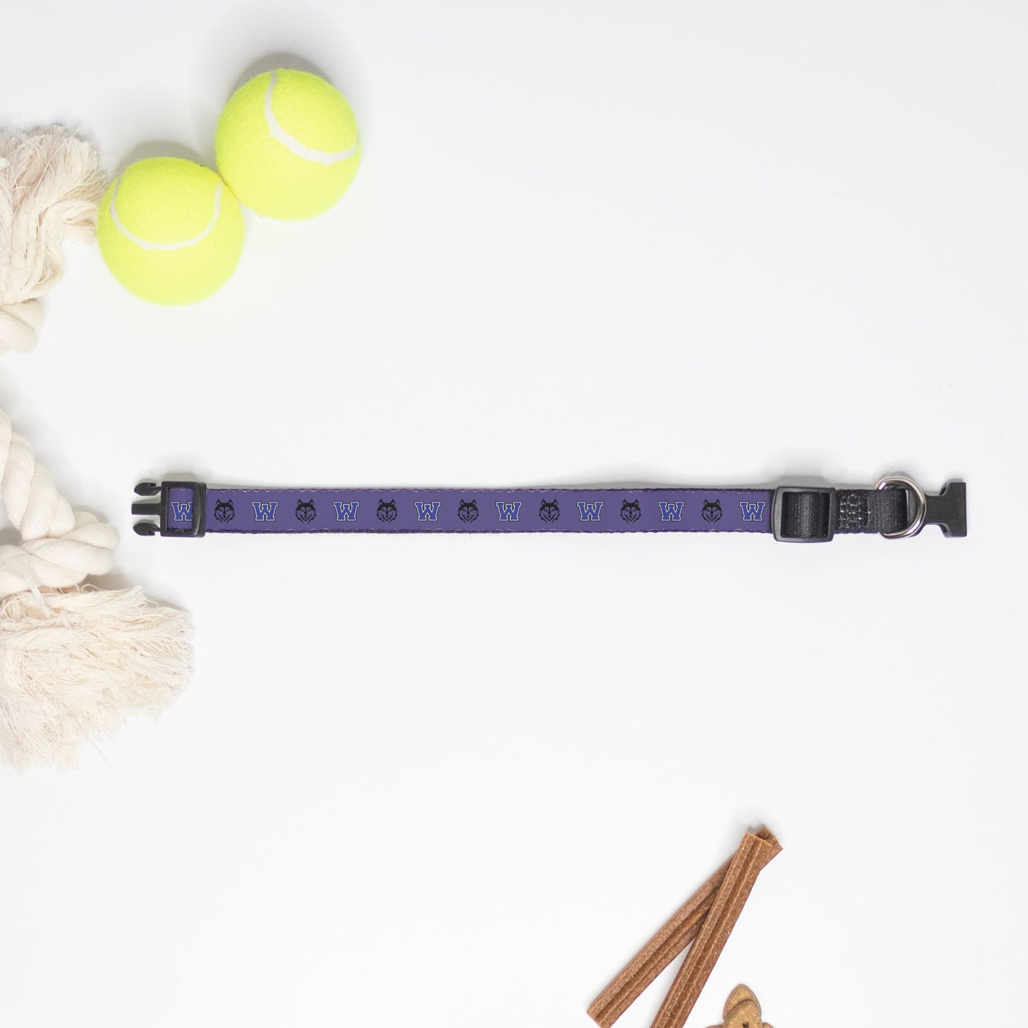 Washington Huskies Pet Collar