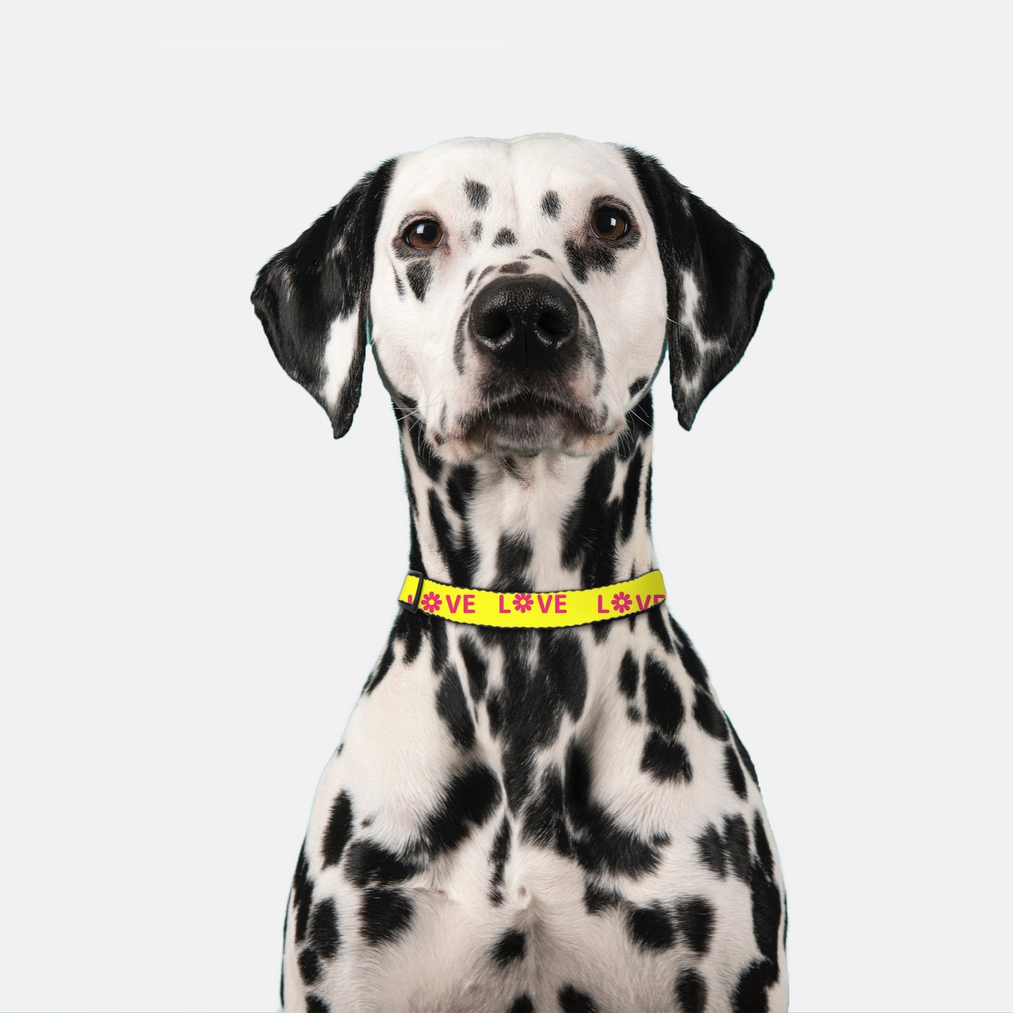 Love Pet Collar Large (Yellow/Pink)