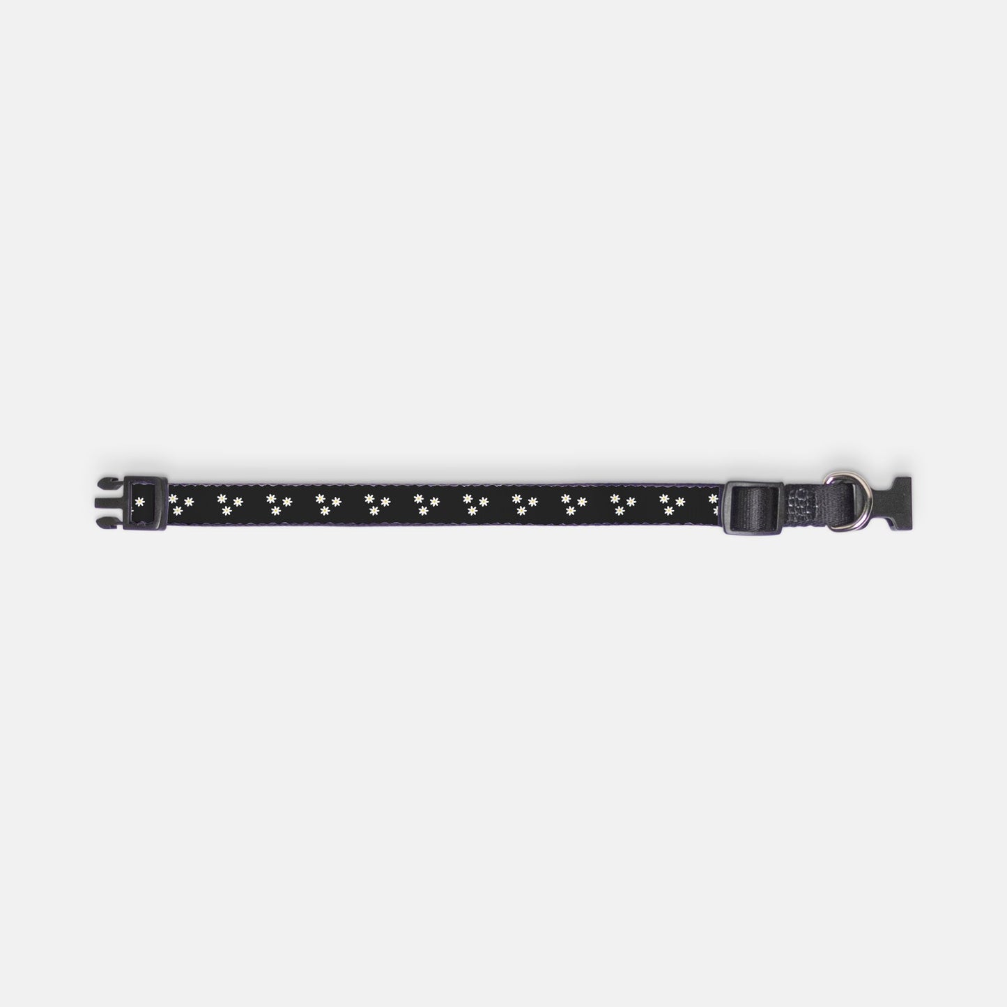 Dancing' Daisies Pet Collar Black