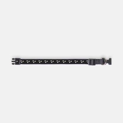 Dancing' Daisies Pet Collar Black